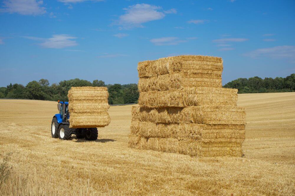 Stop Gambling with Your Hay: Why Accurate Moisture Testing is Non-Negotiable for Preventing Fires & Spoilage