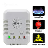 Natural Gas CO Gas Leak Detector Carbon Monoxide C